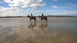 Nær stranden