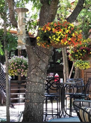 Terras