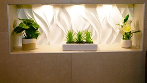 A shelf with three potted plants against a textured wall. - Gikas Apartments - Serenity Suite (Corfu)