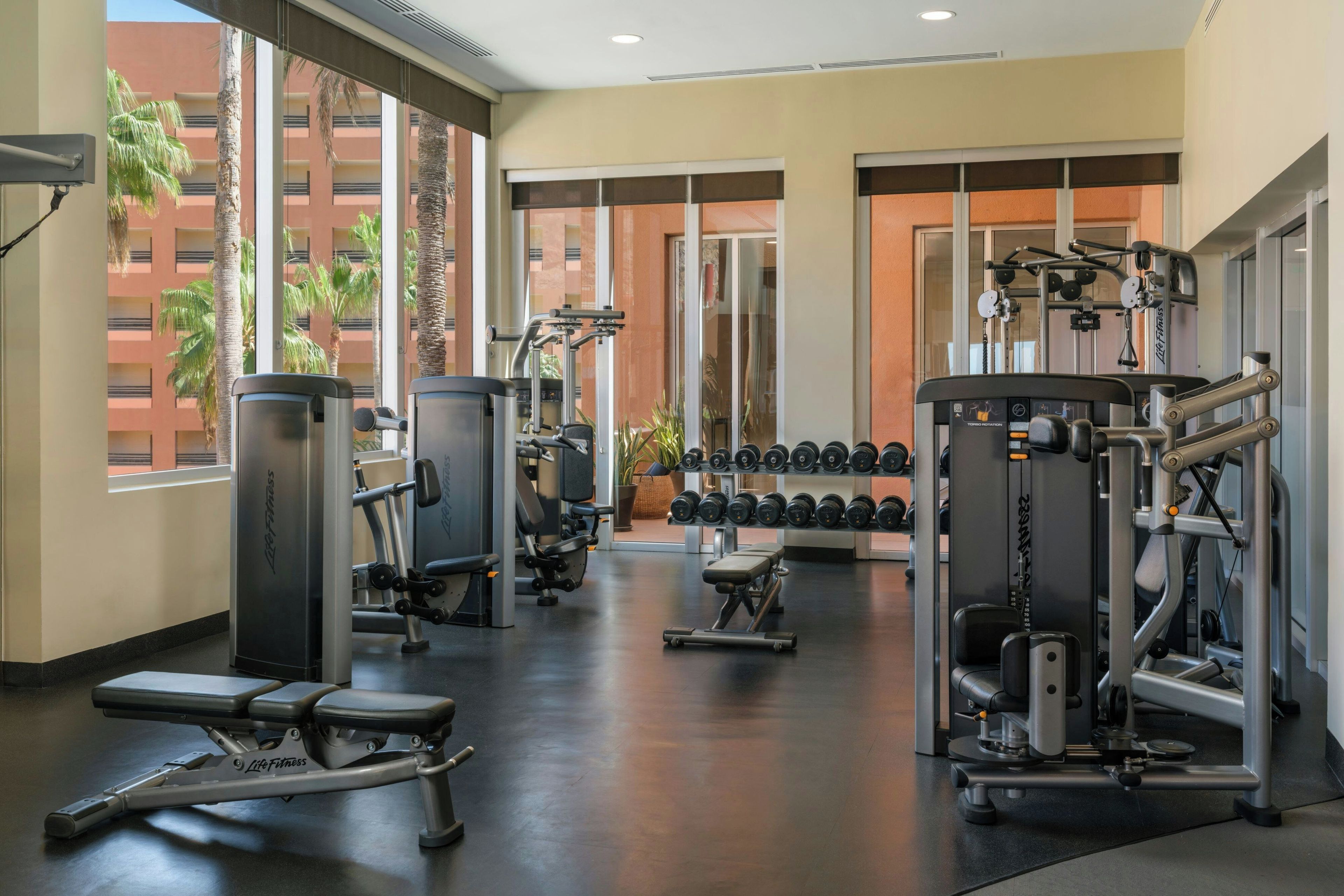Un gimnasio con equipos de ejercicio variados, incluyendo máquinas de pesas y mancuernas.