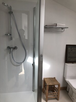 Bathtub, hair dryer, towels, toilet paper