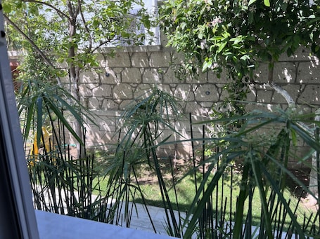 Standard Apartment | View from room