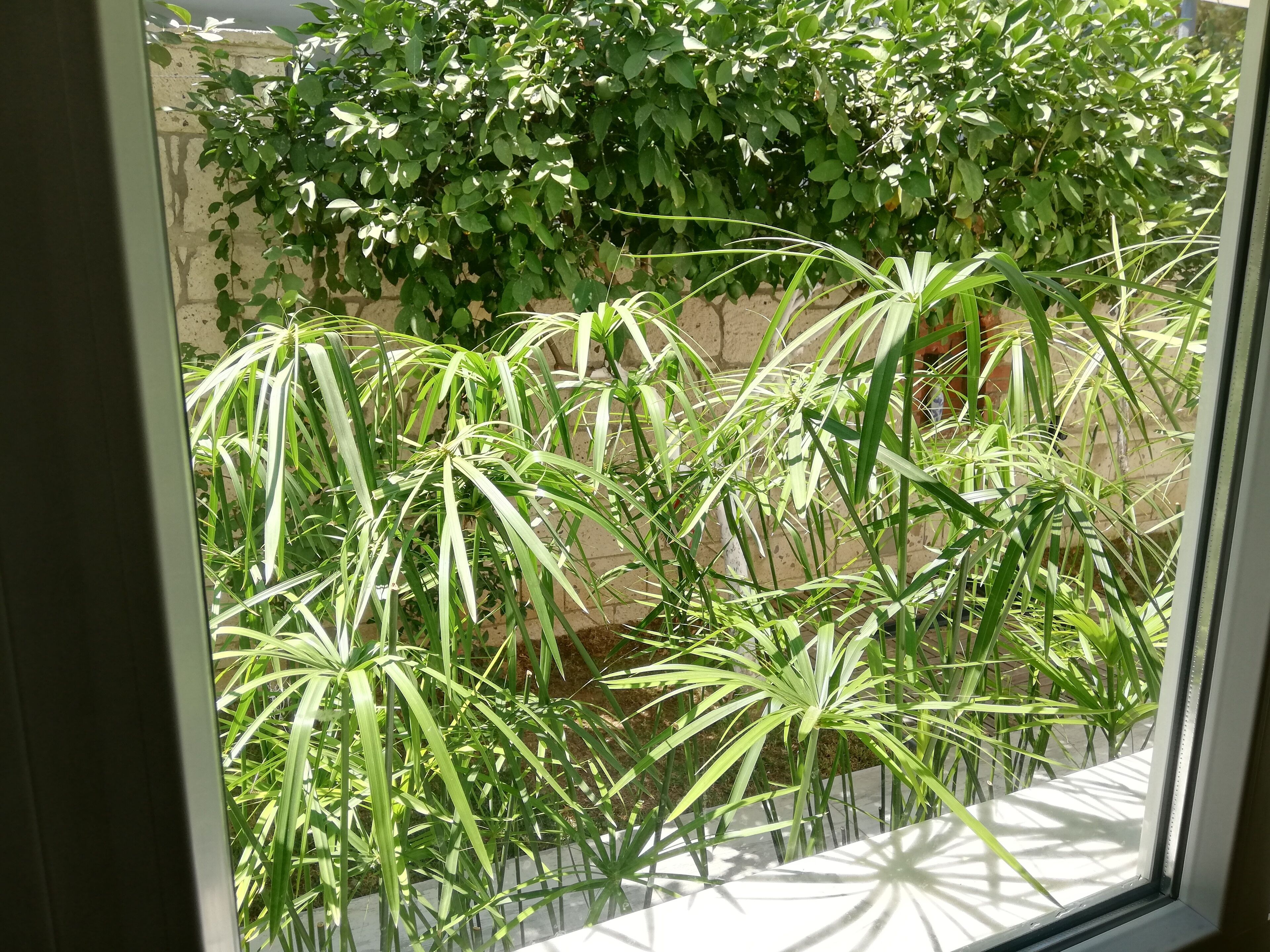 客房景观