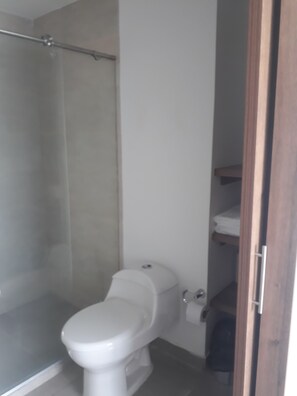 Shower, towels, toilet paper