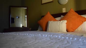 Minibar, tabla de planchar con plancha, wifi gratis y ropa de cama