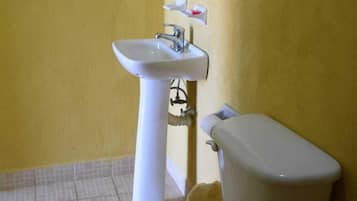 Regadera, toallas, jabón, papel de baño