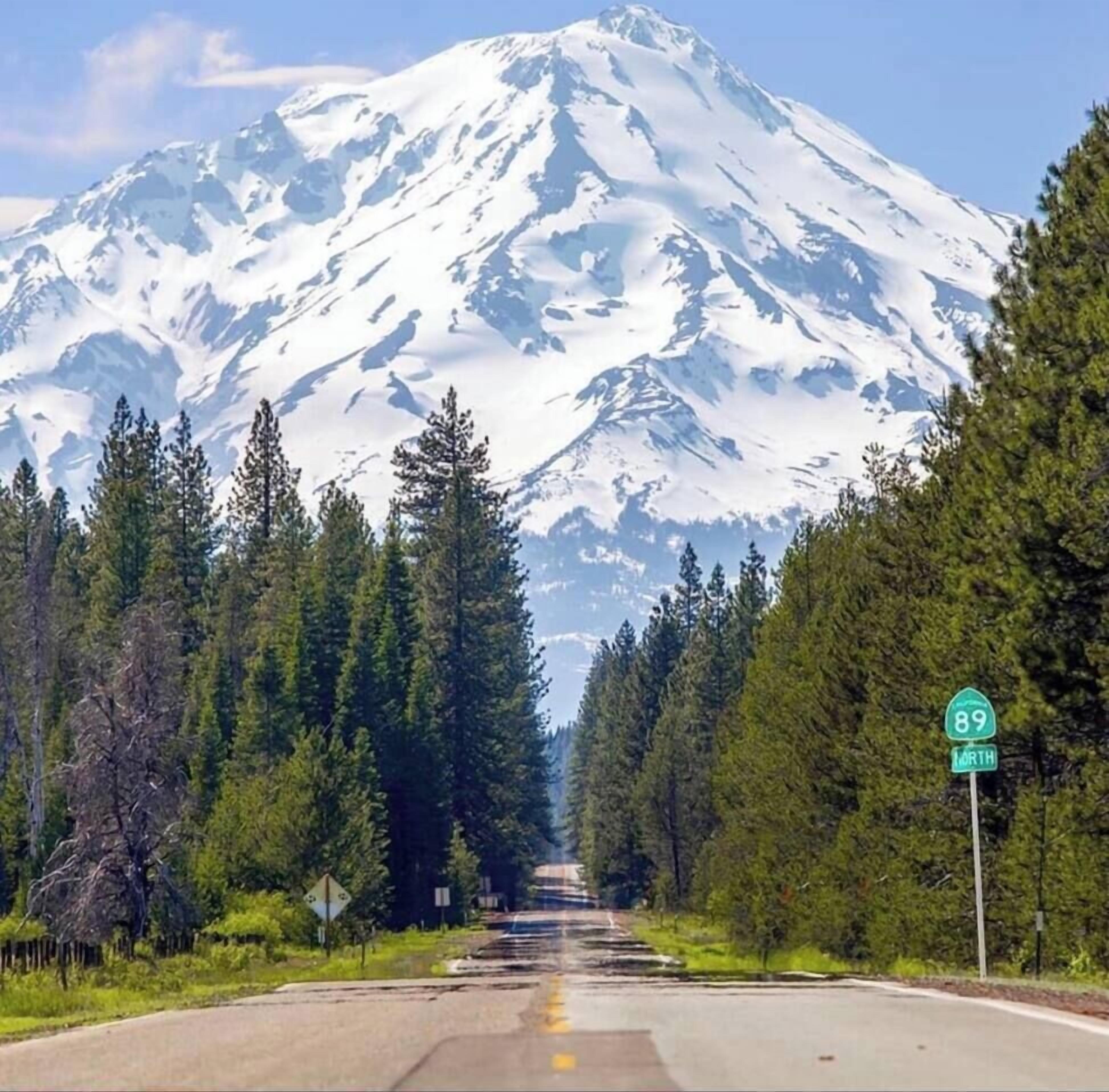 A road leading towards a snow-capped mountain with dense forests on either side. A green road sign indicates Route 89 North.