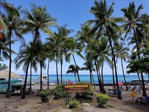 Beach