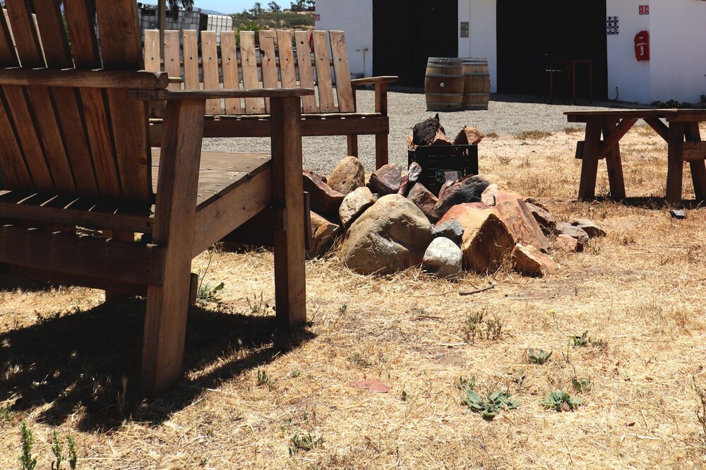 Wine country In Valle de Guadalupe