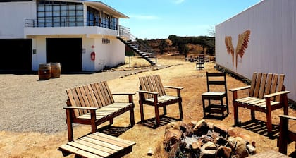 Wine country In Valle de Guadalupe