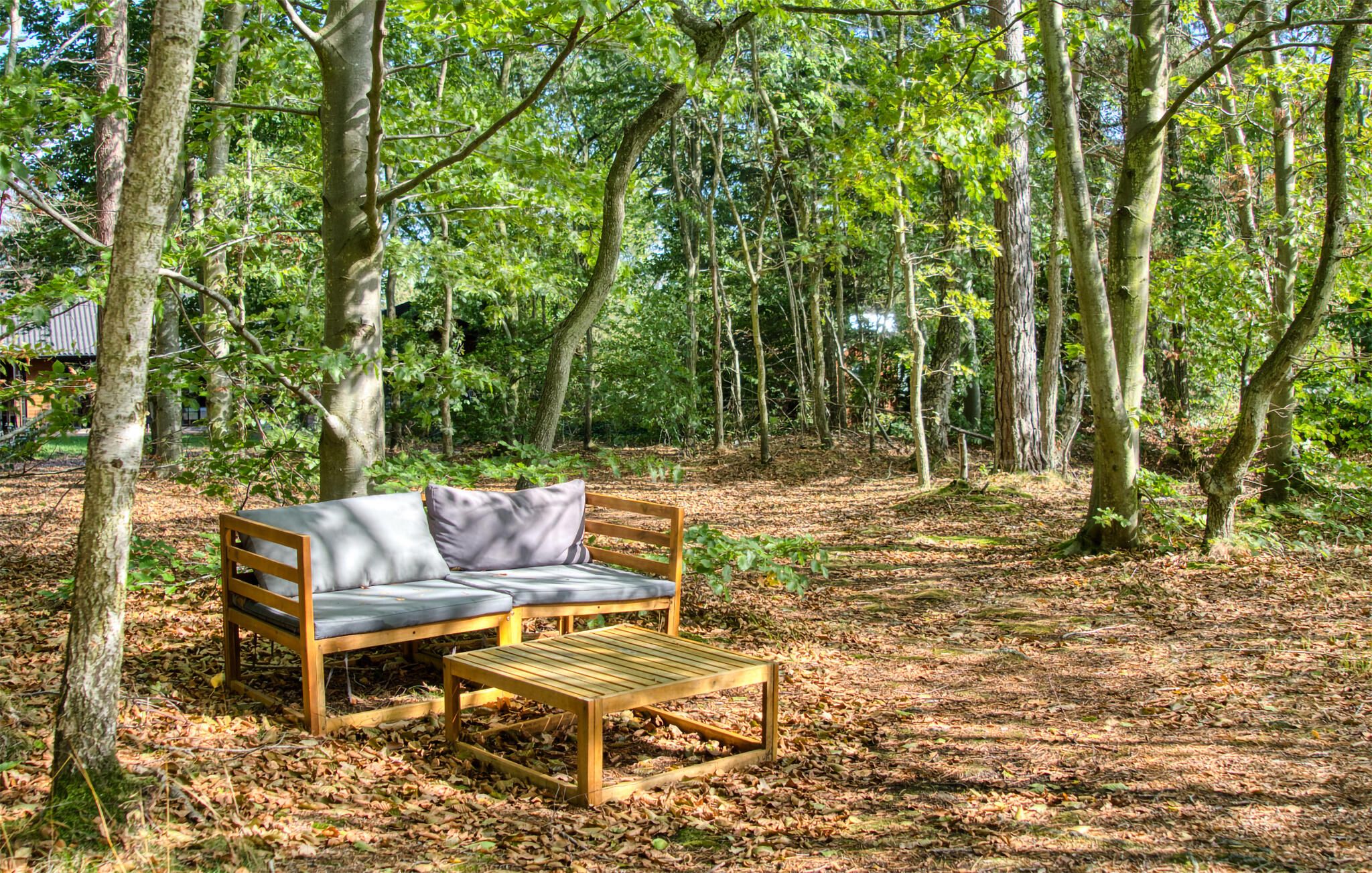 Un banc en bois et un ensemble de canapés sont installés dans un espace boisé, entouré d’arbres et de feuilles mortes.
