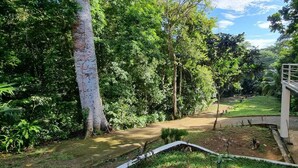 Um jardim exuberante com uma ponte branca, vegetação densa e céu claro.