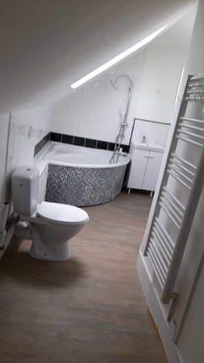 Combined shower/bathtub, hair dryer, towels, soap