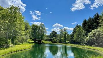 A serene pond surrounded by lush greenery and trees under a clear blue sky.