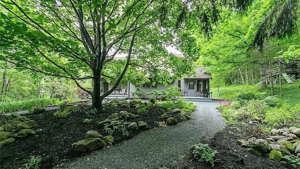 Un sentier qui mène à un petit chalet entouré d’une végétation luxuriante et d’arbres.