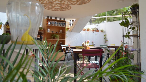 A modern outdoor dining area with a wooden bookshelf, a table, chairs, and potted plants.