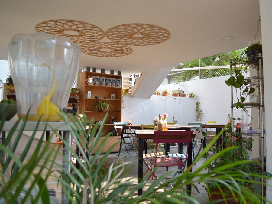 Opções para refeição ao ar livre