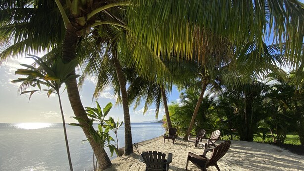 Une plage bordée de palmiers, une zone sablonne avec des chaises, et une vue sur l’océan.