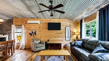 Smart TV, fireplace, books