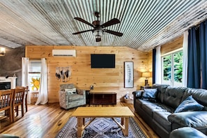 Smart TV, fireplace, books