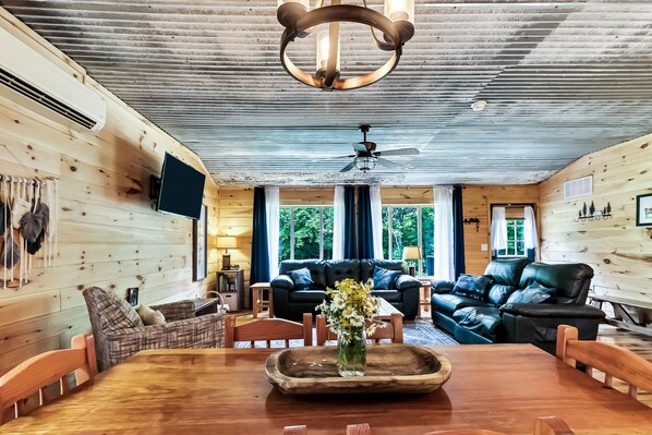 Smart TV, fireplace, books