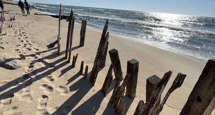 Lake Mich Beaches Peaceful Retreat Fish Hike Duck Lake Disc Golf Fire Pit