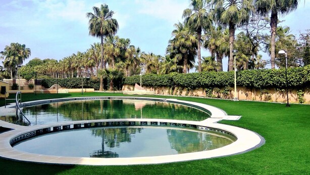 Una piscina circolare con una passeggiata intorno, palme e un prato curato.