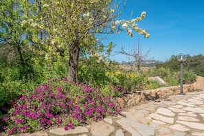 A stone pathway leading to a garden with flowering plants and a tree with white blossoms. - Apartment "2 in Villa in Campagna" with Mountain View and Shared Pool (Olbia)