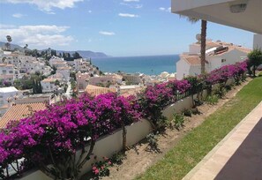 Un quartier résidentiel en bord de mer, avec des maisons, un ciel dégagé et des bougainvilliers le long d’un mur.