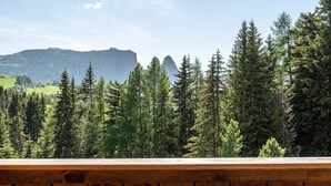 Une terrasse en bois donnant sur un paysage boisé, avec des montagnes à l’horizon.