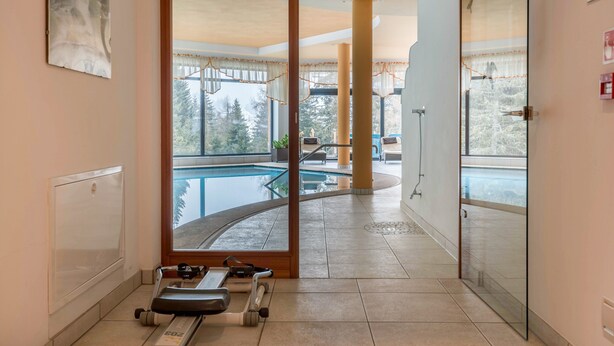 A room with a treadmill, a glass door leading to a pool area, and a view of trees outside.