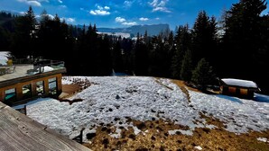 Un edificio moderno con fachada de vidrio, una terraza de madera y un paisaje nevado con árboles y montañas al fondo.