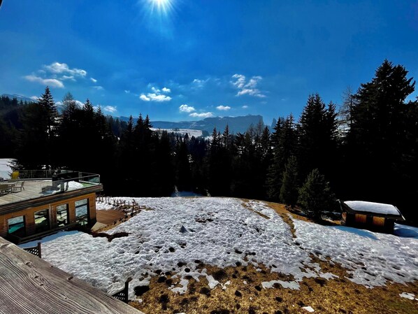 Property grounds - Apartment "Ferienparadies Sabina Spitzbühl" in the nature reserve directly on the Alpe di Siusi (Castelrotto / Alpe di Siusi)