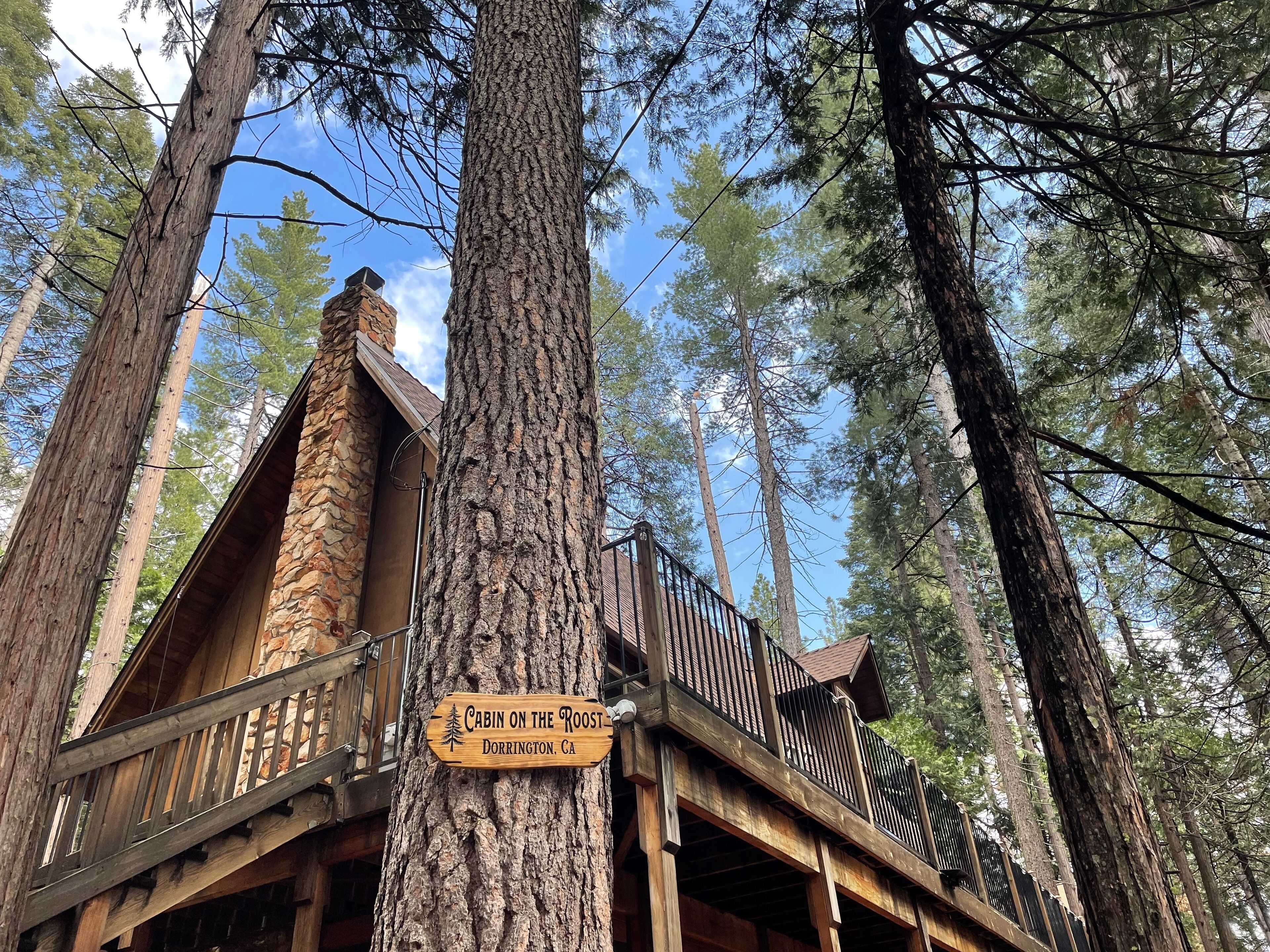 Cabin on the Roost~Pet friendly~A-frame cabin