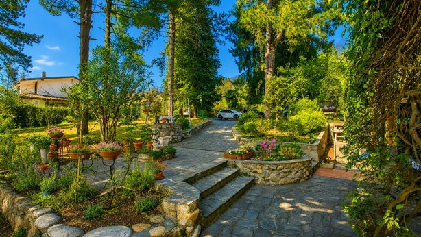 Un chemin de pierre mène à une maison entourée d’une végétation luxuriante et de plantes en pot.