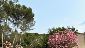 Deux verres d’une boisson, chacun muni d’une paille et garni d’une tranche de citron vert, sont posés sur une table blanche près d’une piscine, où flotte un flamant rose gonflable.