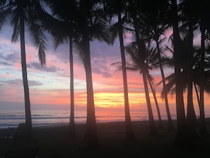 Playa en los alrededores