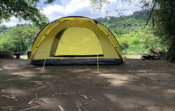 Tienda amarilla montada en un área boscosa con suelo de tierra.