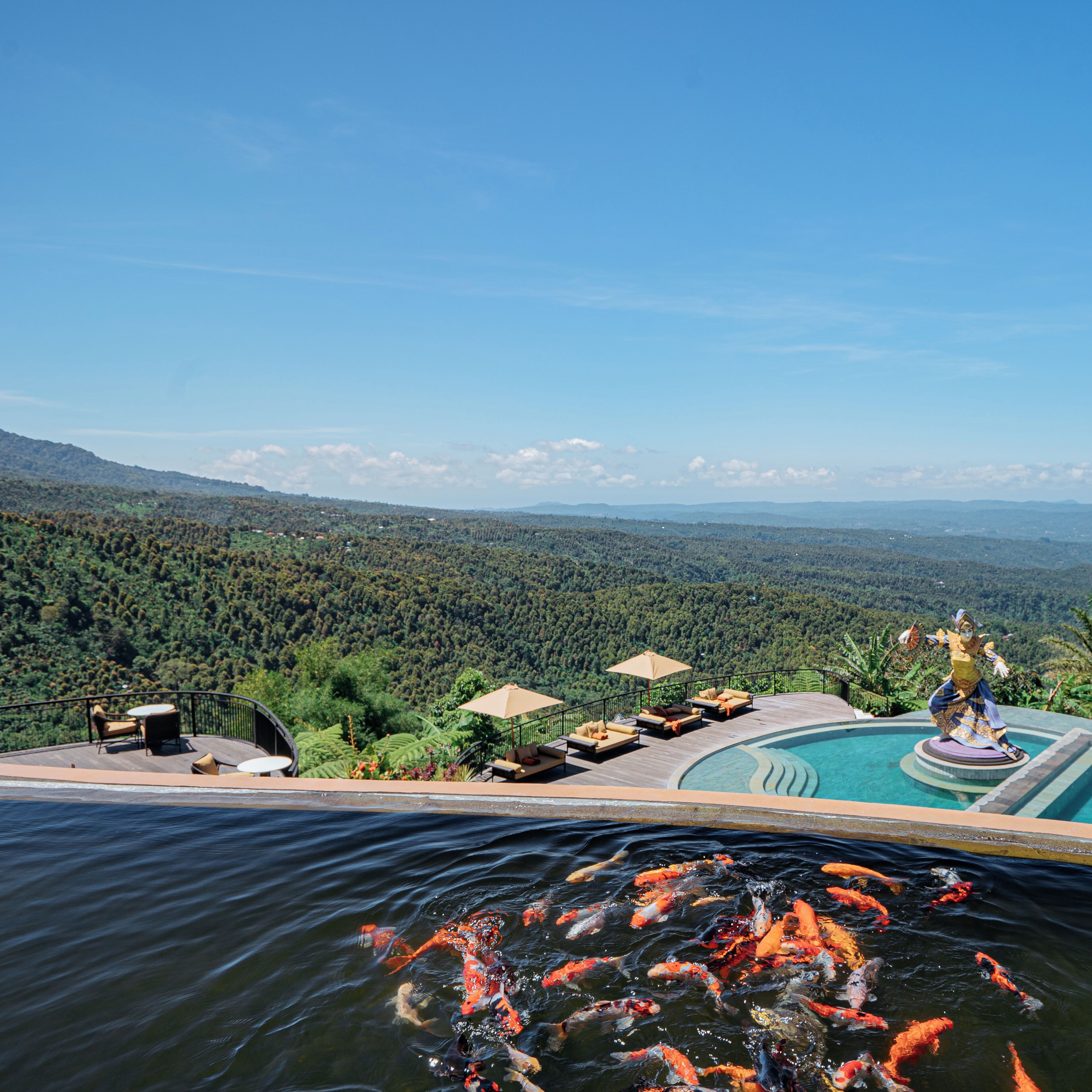 A pool with koi fish, outdoor seating, and a scenic view of a forested landscape.
