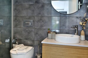Shower, hair dryer, bathrobes, slippers