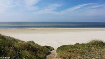 Playa en los alrededores y camastros