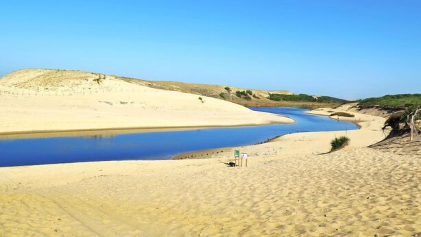A desert landscape with a river, sandy dunes, and sparse vegetation. - Les Fougères by Interhome (Moliets)