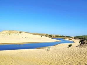Un paysage désertique avec une rivière, des dunes de sable et une végétation clairsemée.