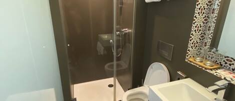 A modern bathroom with a glass-enclosed shower, a white toilet, and a vanity with a sink.