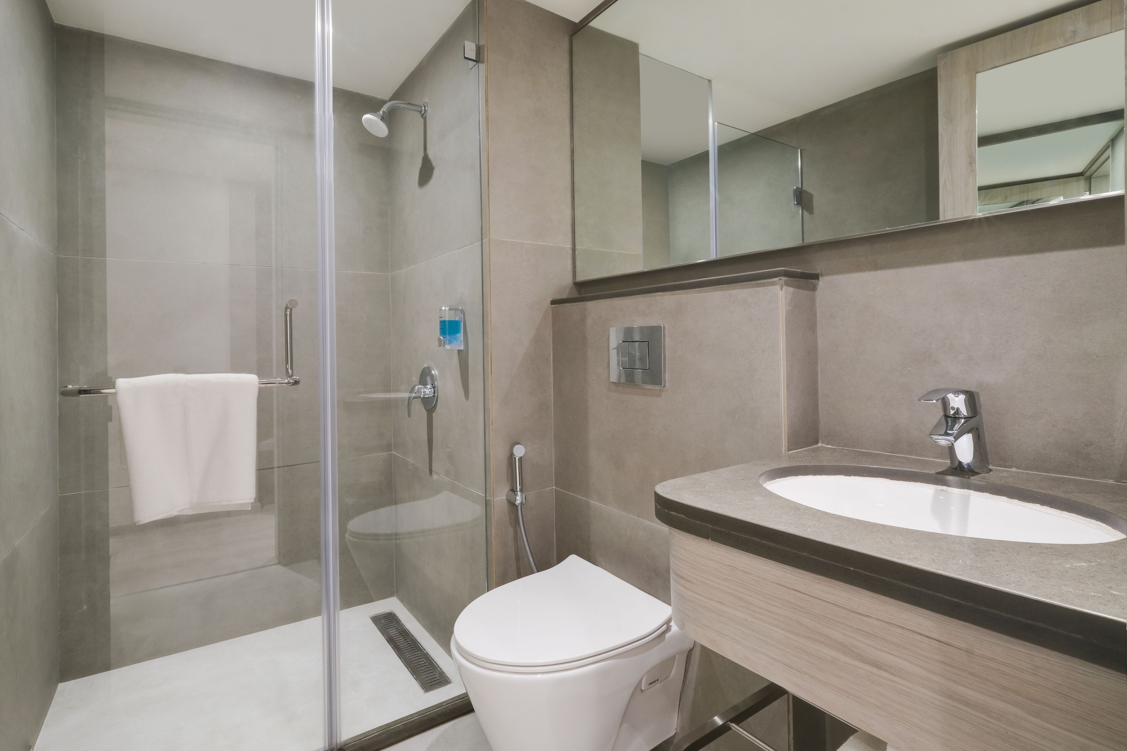A modern bathroom with a glass-enclosed shower, a white toilet, and a sink with a mirror above it.