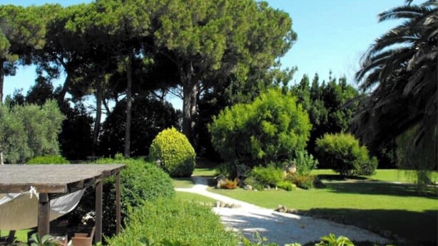 A garden with a wooden pergola, a well-maintained lawn, and a variety of trees including a large pine and a palm tree. - The villett 🏡 in the countryside a stone's throw from the sea (Pescia Romana)