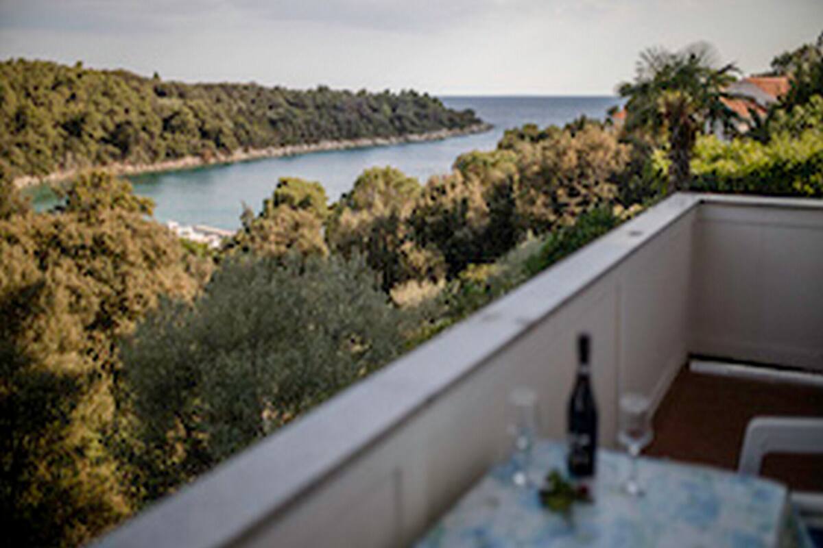 Apartment (Two Bedroom Apartment with Balcony an) | Balcony