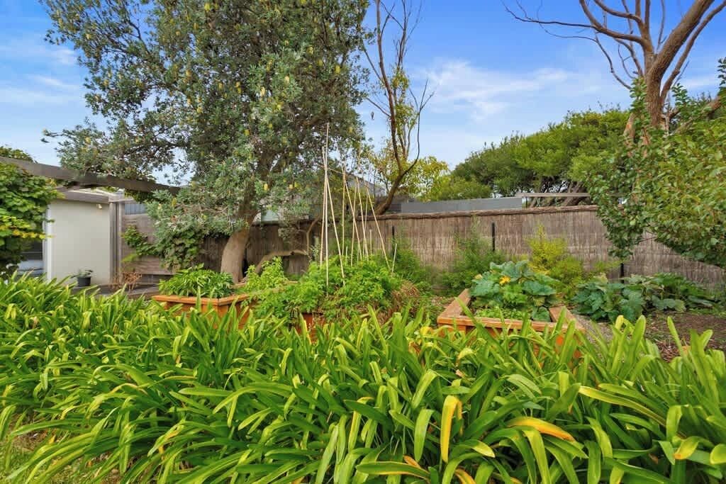 A garden with various plants and a wooden fence.
