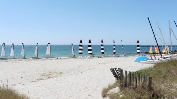 Ein Strand mit Windsurfgeräten und Sonnenschirmen.