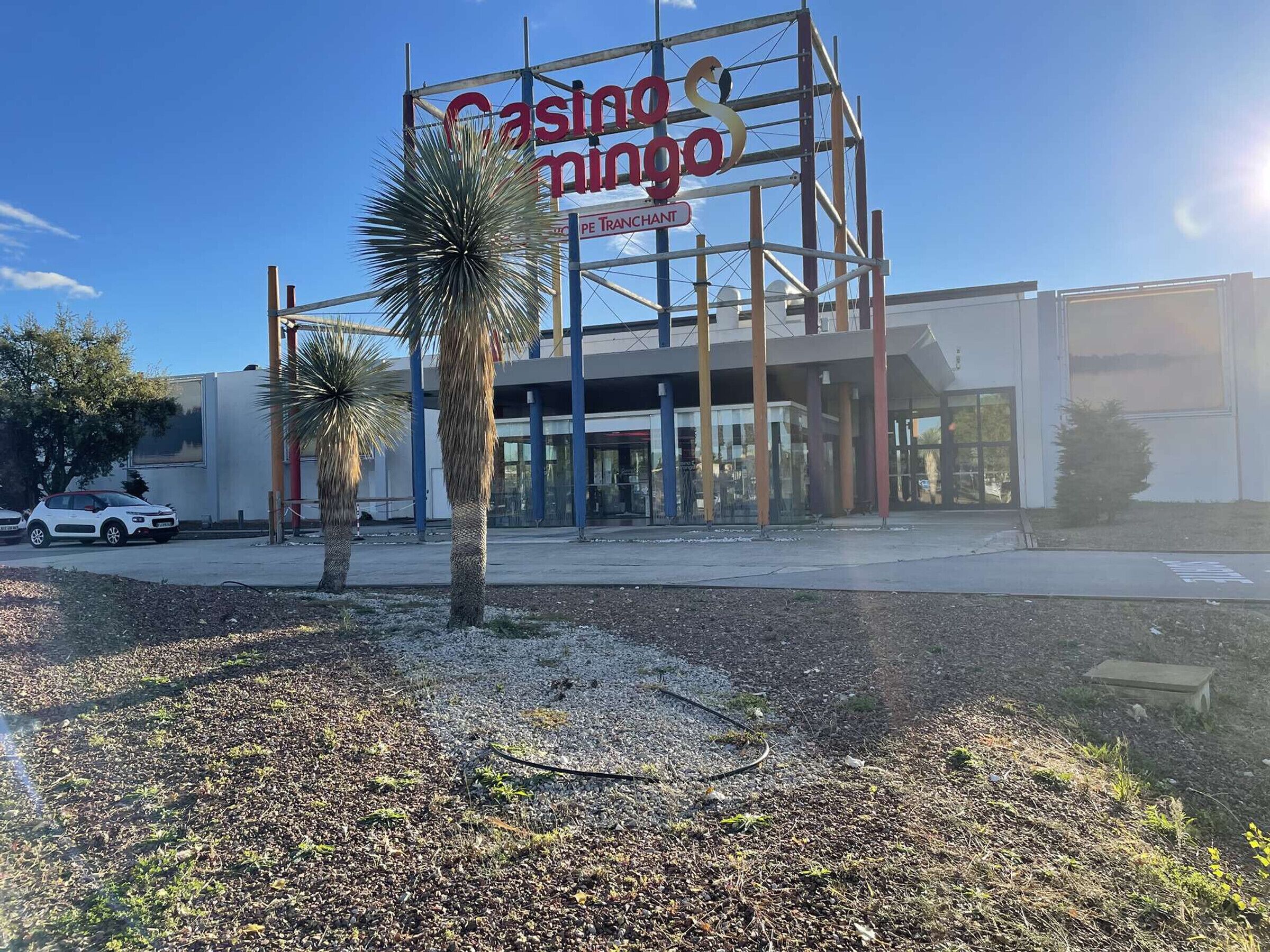 A building with a large sign reading "Casino Mingo" and a "Transcart" sign below it.